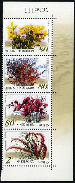 2002-14 《沙漠植物》特种邮票